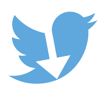 Twitter Video Downloader With Sound