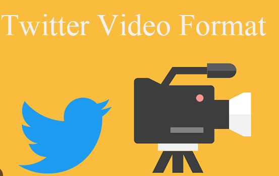 What is Twitter Video Format?