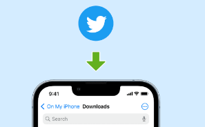 كيف تحفظ فيديو Twitter إلى Camera Roll؟